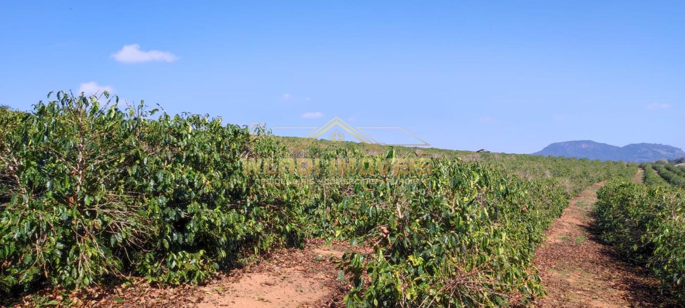 Sítio, 10 m² - Foto 21