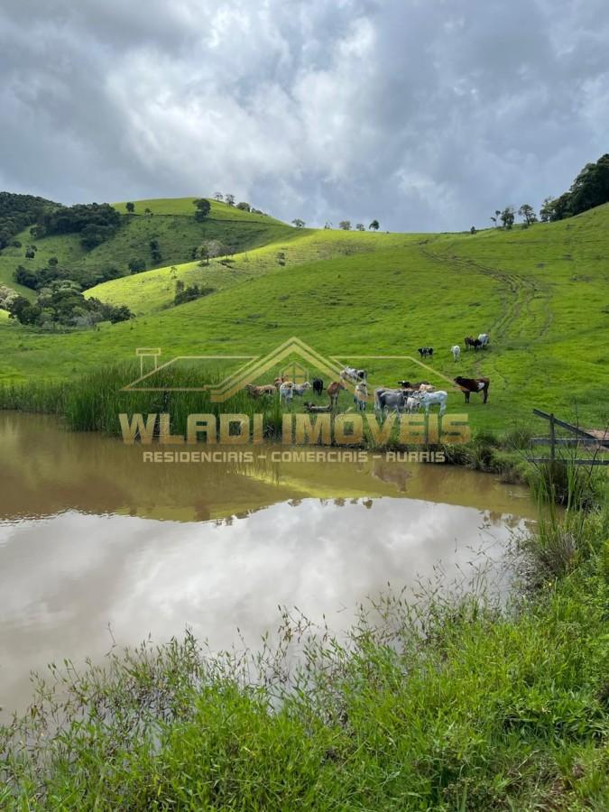 Fazenda, 90 m² - Foto 6