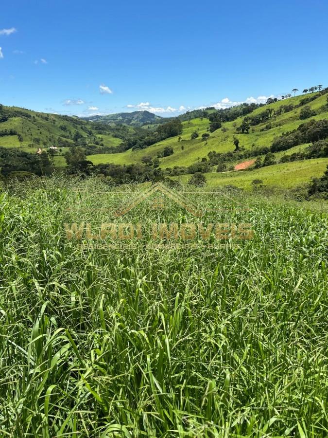 Fazenda, 90 m² - Foto 10