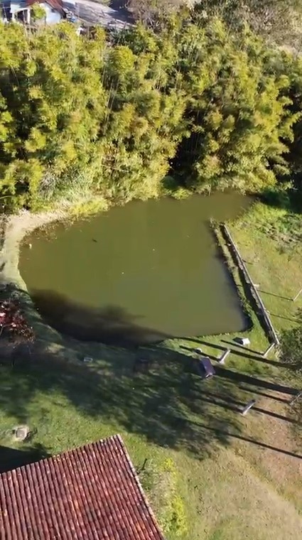 Sítio, 2 quartos, 3 hectares - Foto 3