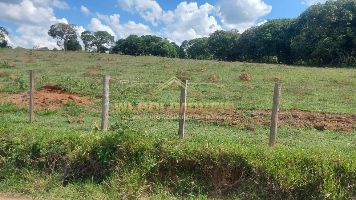 Terreno, 6 hectares - Foto 8