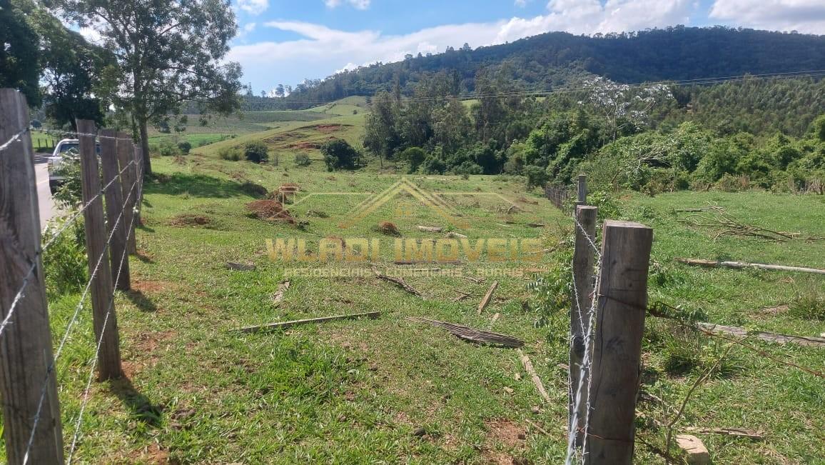 Terreno, 6 hectares - Foto 12