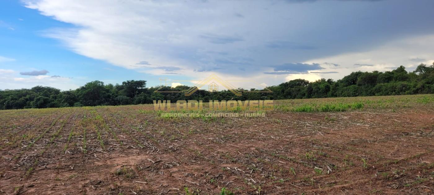 Sítio, 9 m² - Foto 15