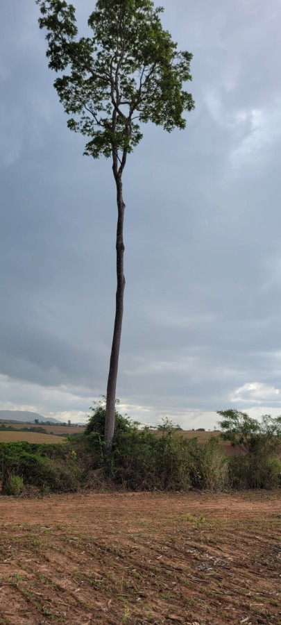 Sítio, 9 m² - Foto 19