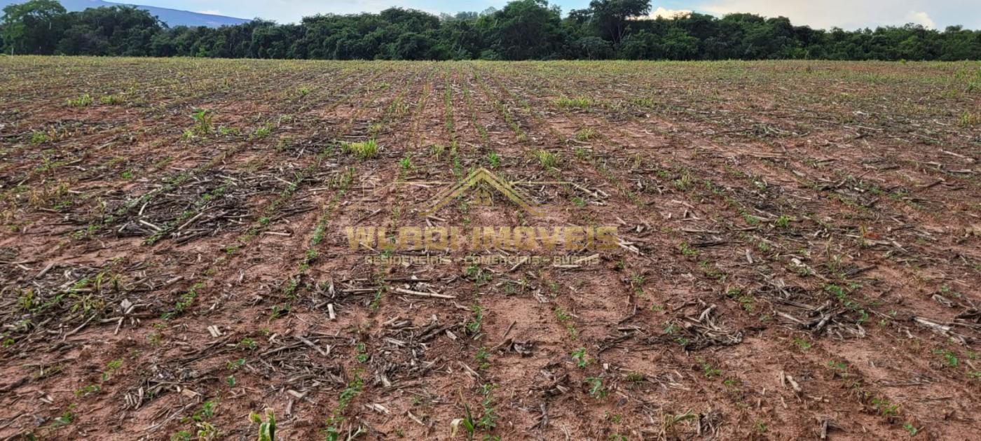 Sítio, 9 m² - Foto 3