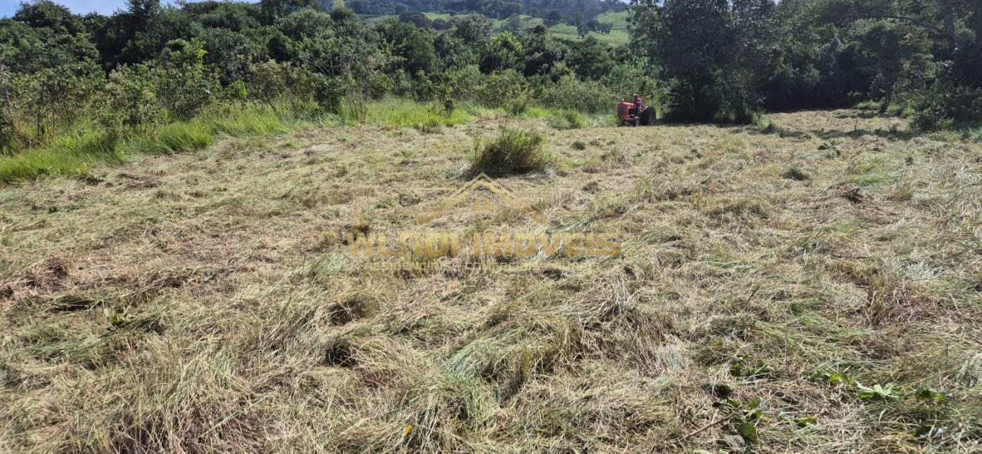 Terreno, 4890 m² - Foto 6