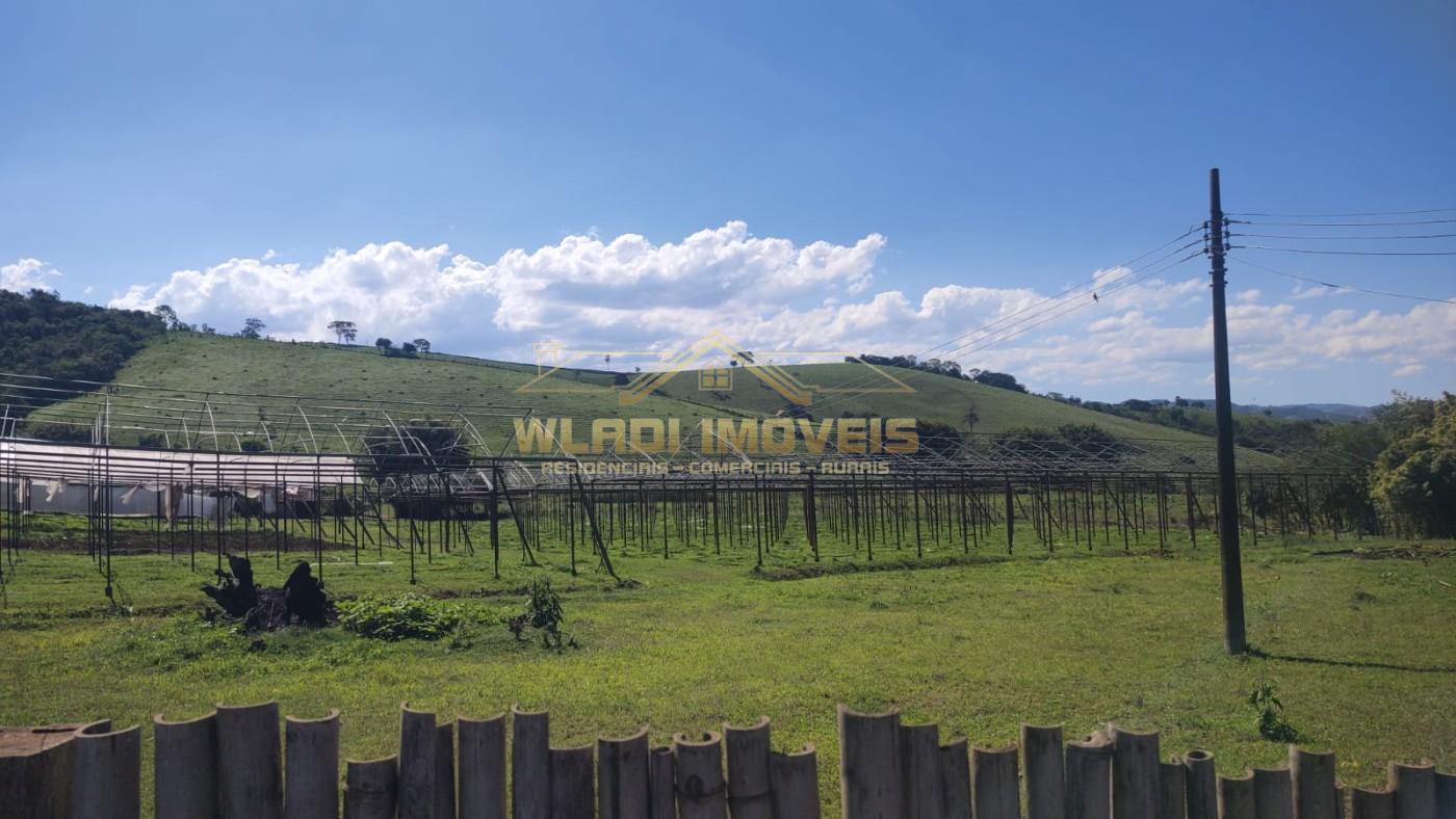 Sítio, 6 m² - Foto 7