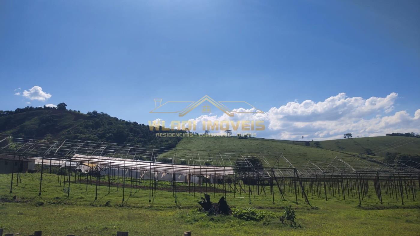 Sítio, 6 m² - Foto 5