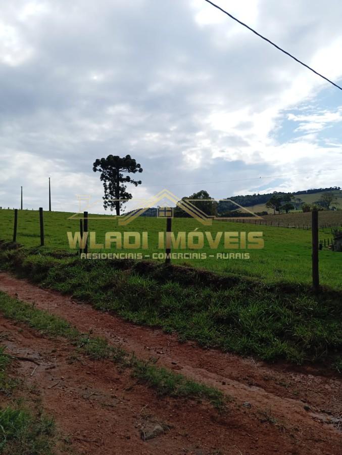 Sítio, 7 m² - Foto 5