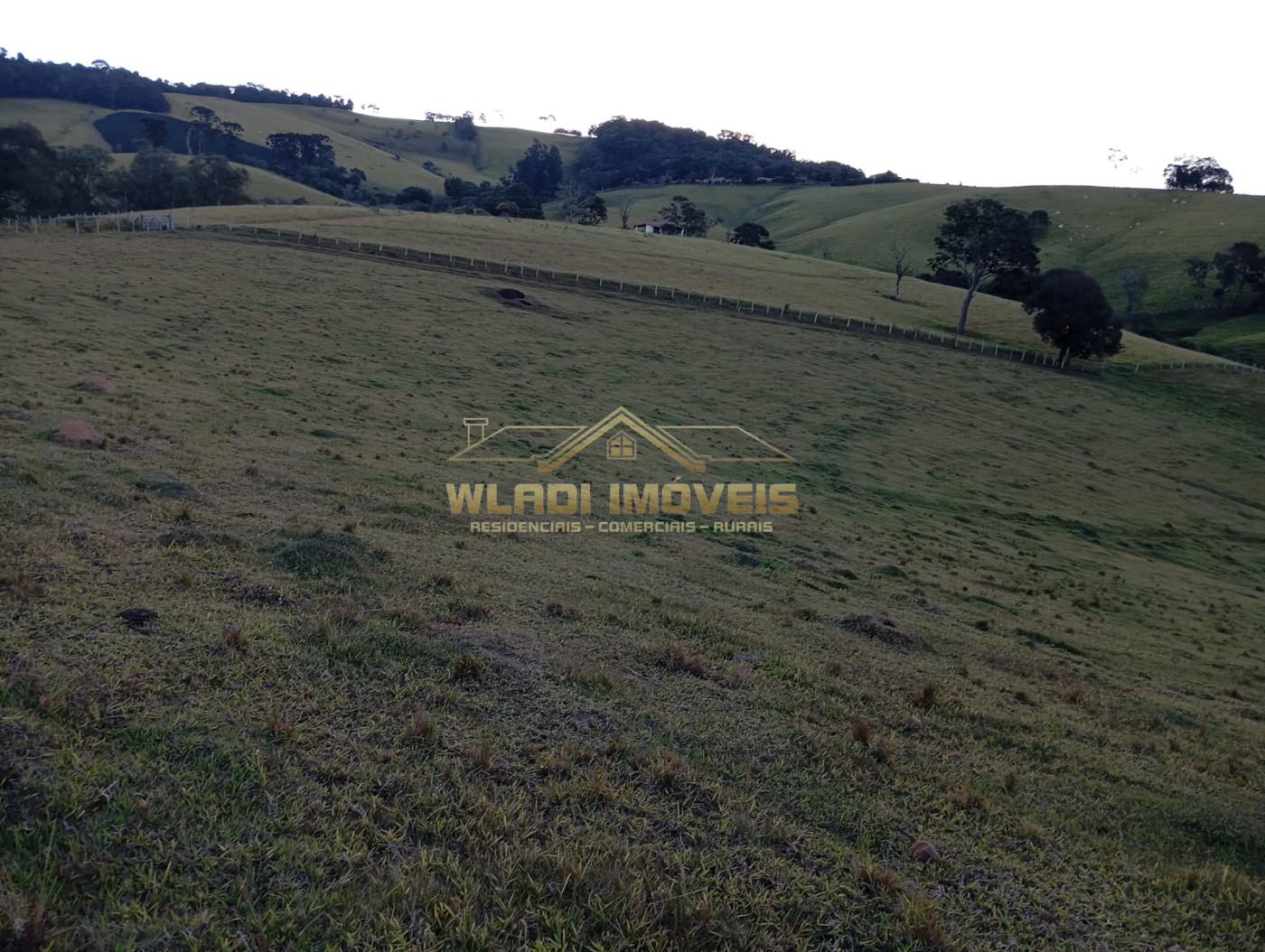 Sítio, 7 m² - Foto 4