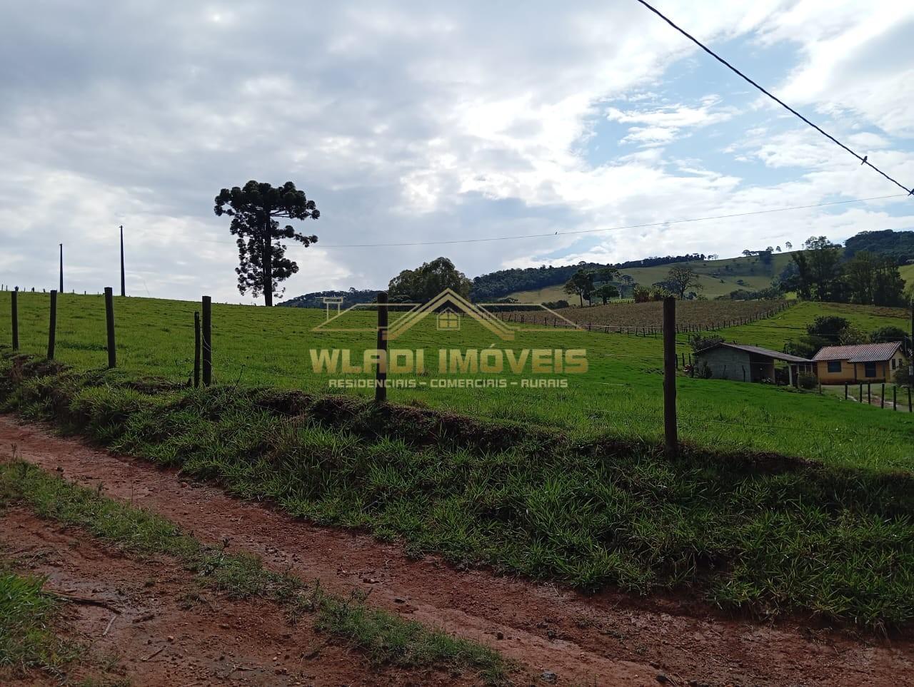 Sítio, 7 m² - Foto 10