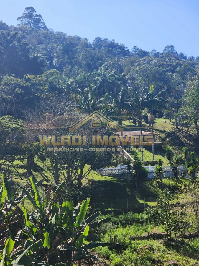 Chácara, 4 hectares - Foto 3