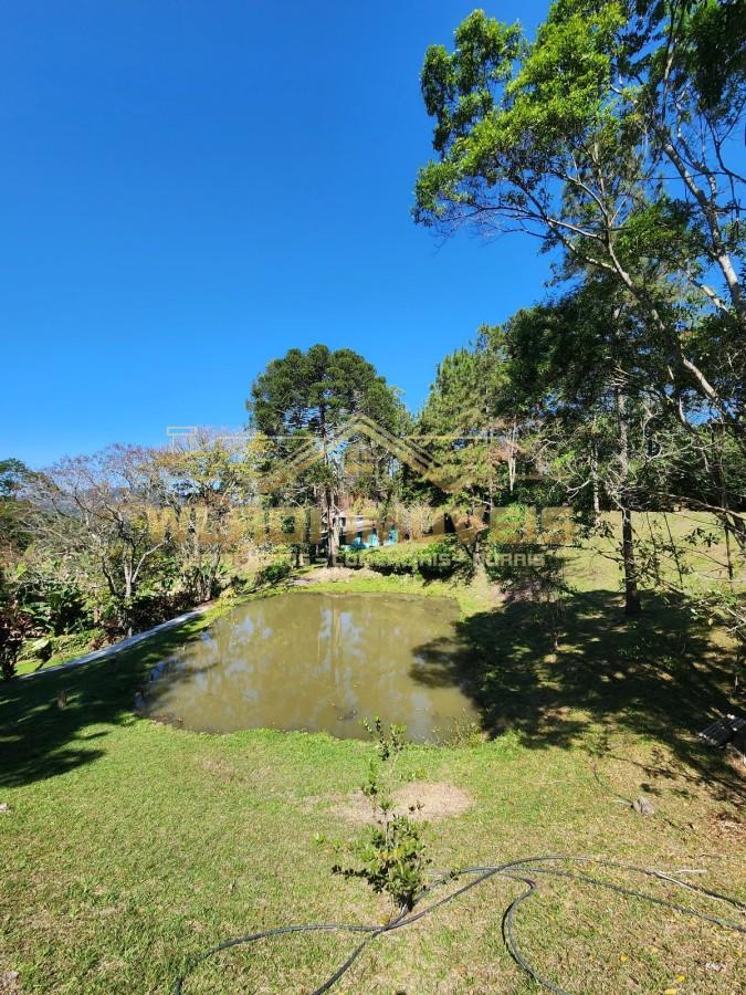 Chácara, 4 hectares - Foto 4