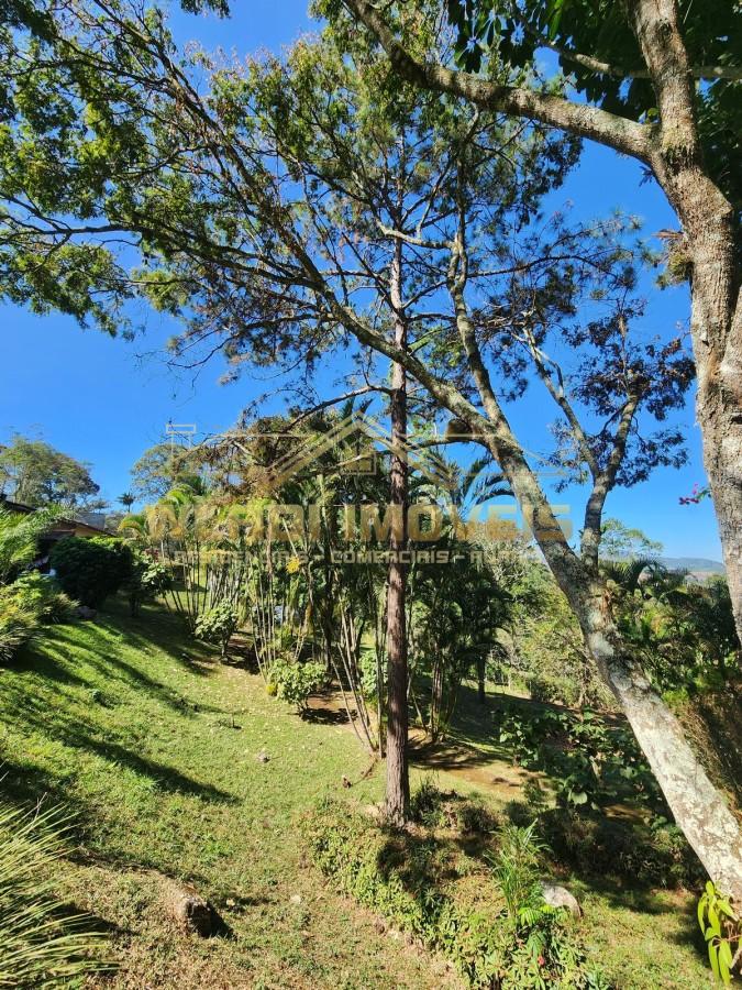 Chácara, 4 hectares - Foto 7