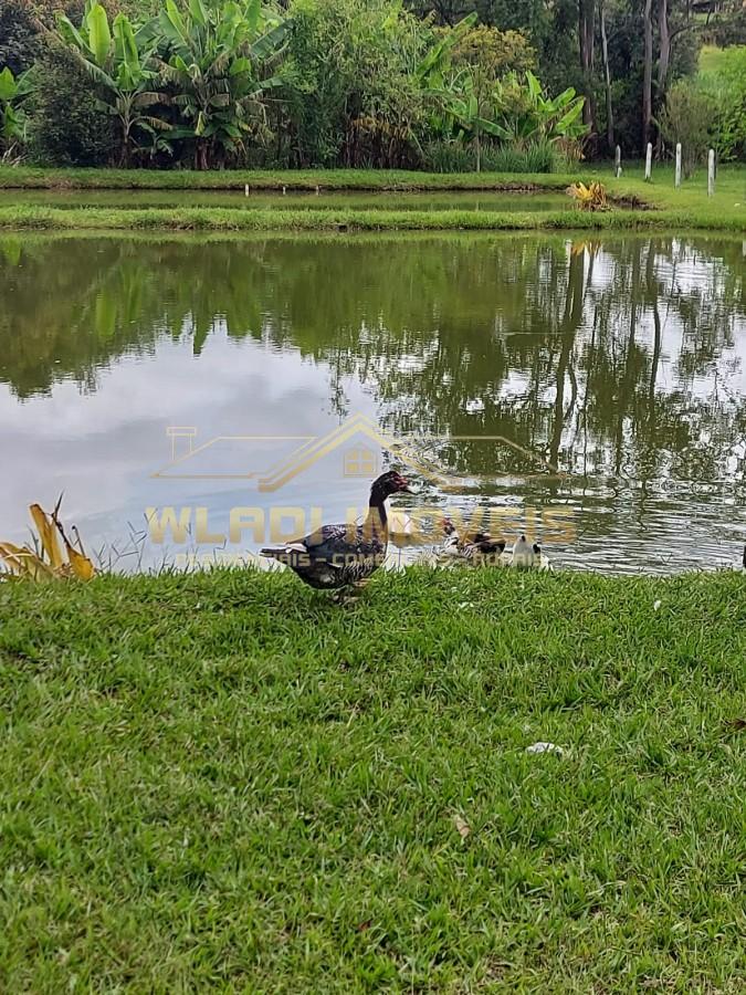 Chácara, 4000 m² - Foto 2