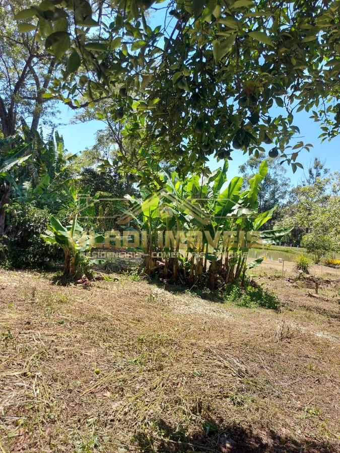 Chácara, 4000 m² - Foto 7