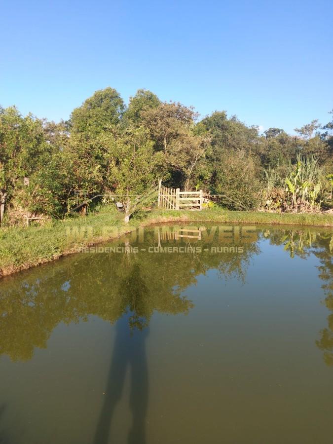 Chácara, 4000 m² - Foto 4