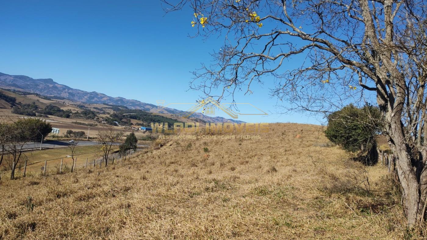 Terreno, 10 hectares - Foto 2