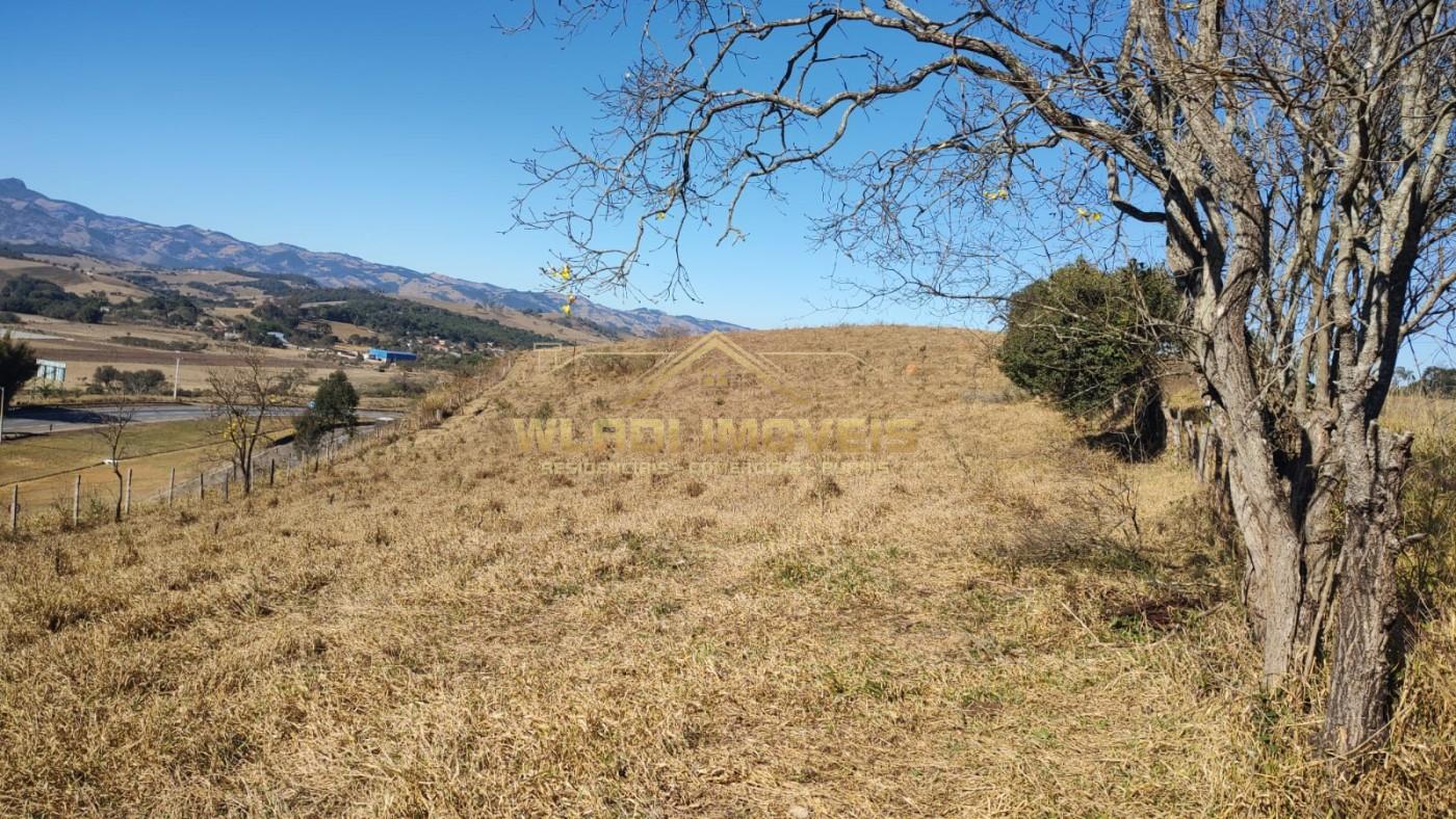 Terreno, 10 hectares - Foto 3