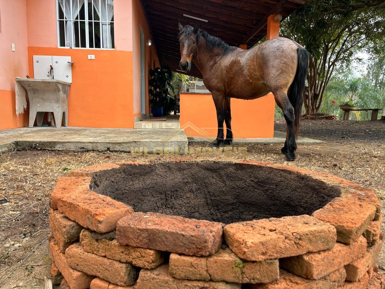 Sítio, 3 quartos, 3 m² - Foto 15