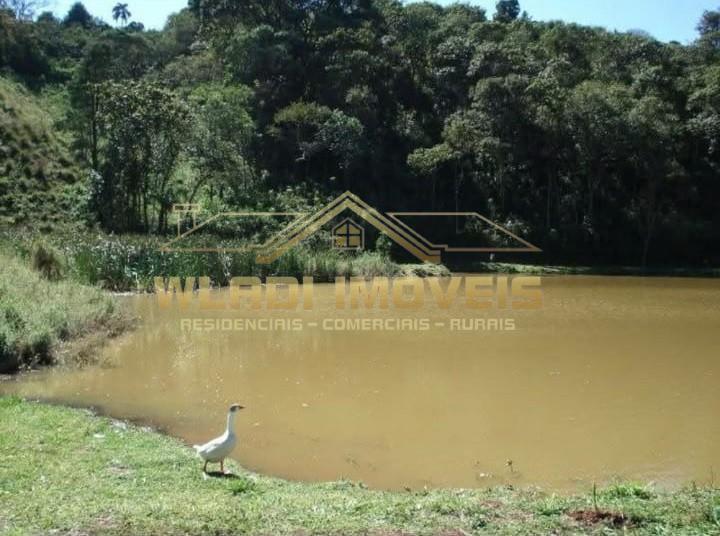 Sítio, 4 quartos, 6 m² - Foto 9