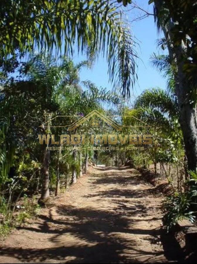 Sítio, 4 quartos, 6 m² - Foto 20