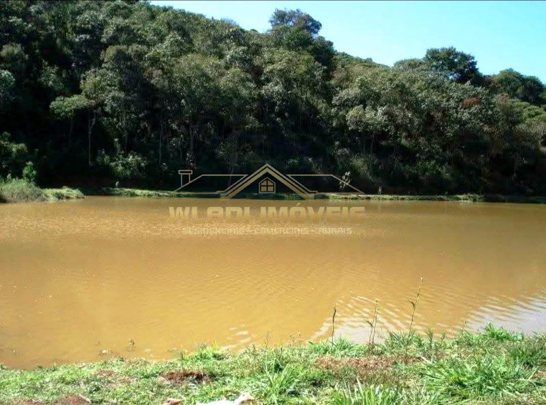 Sítio, 4 quartos, 6 m² - Foto 4