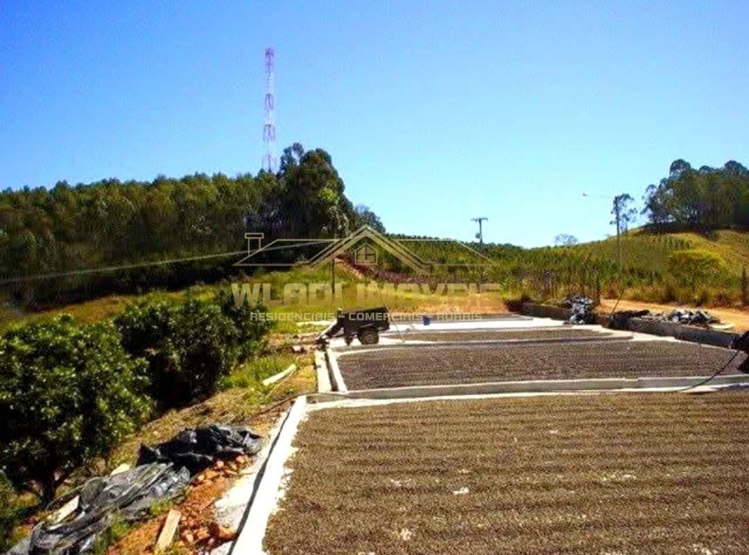 Sítio, 4 quartos, 6 m² - Foto 3