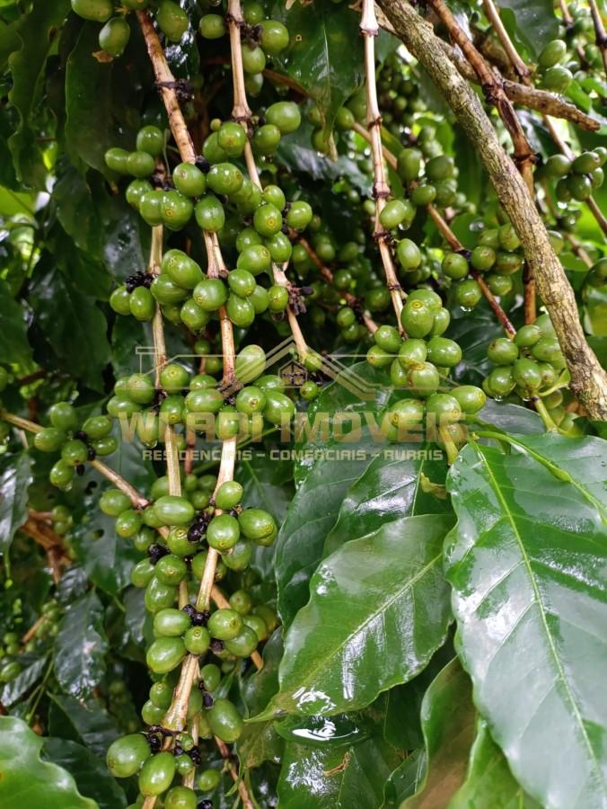 Sítio, 4 quartos, 6 m² - Foto 22