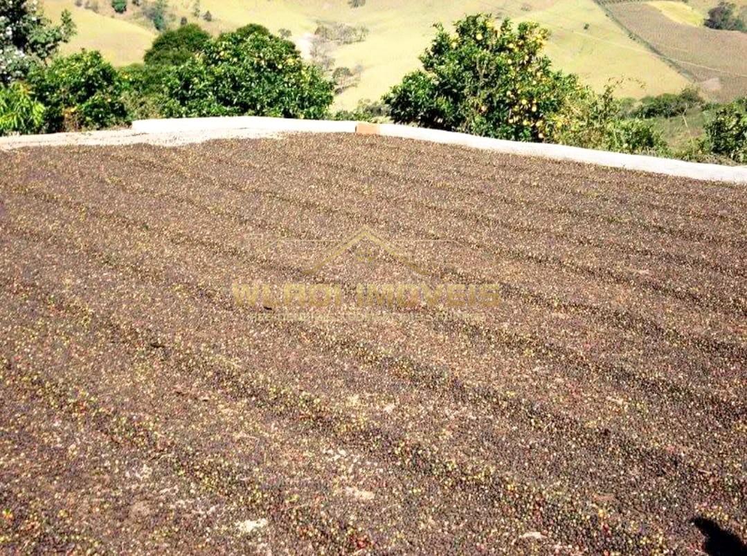 Sítio, 4 quartos, 6 m² - Foto 8