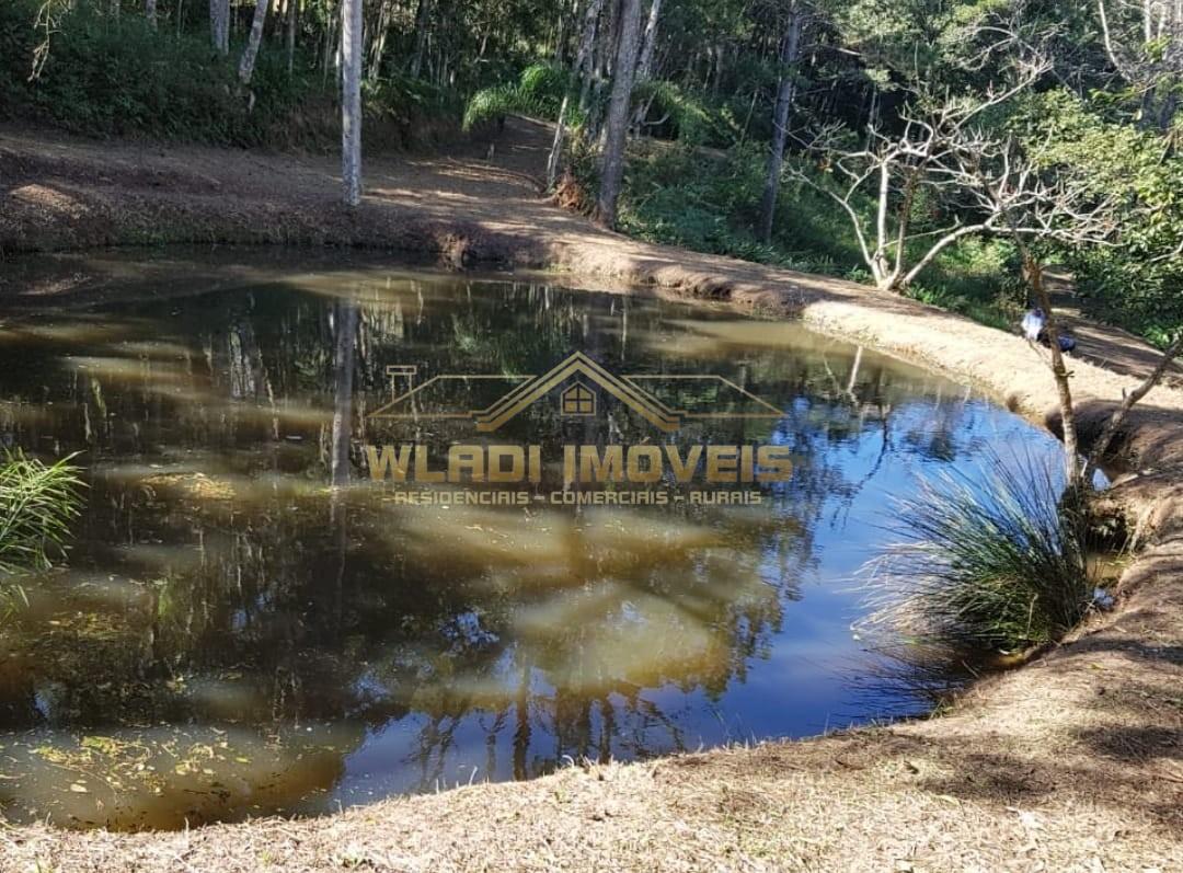 Chácara, 5 quartos, 4 hectares - Foto 3