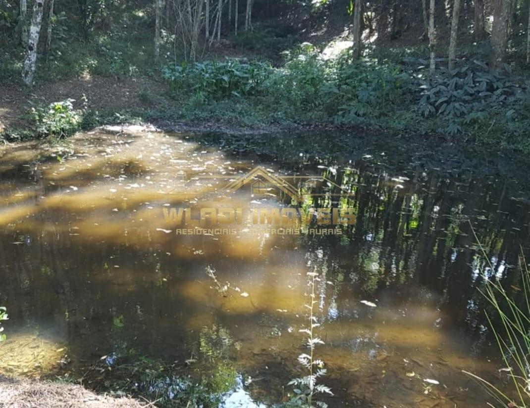 Chácara, 5 quartos, 4 hectares - Foto 30