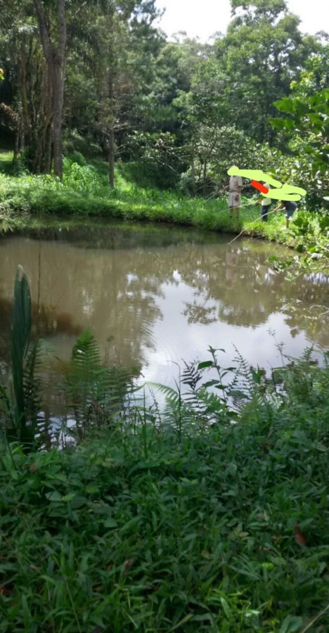 Chácara, 5 quartos, 4 hectares - Foto 31