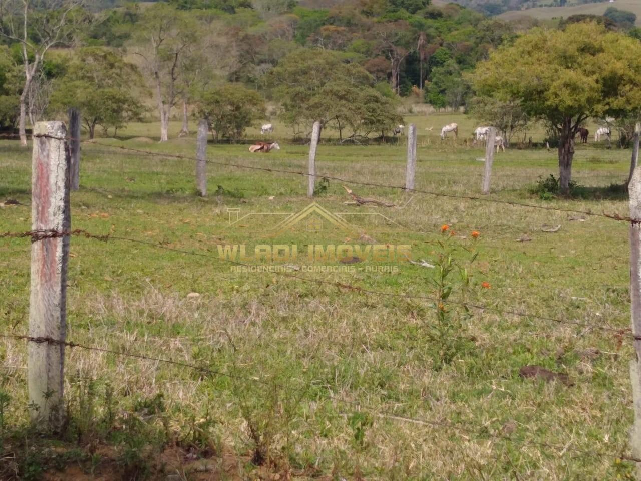 Fazenda, 197 m² - Foto 6