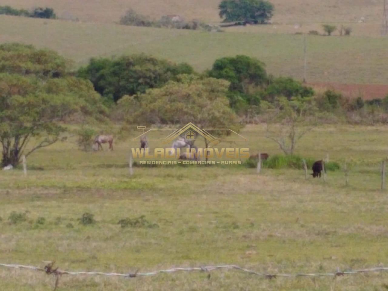 Fazenda, 197 m² - Foto 7