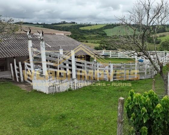 Sítio, 42 m² - Foto 11