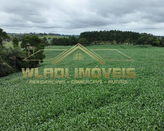 Sítio, 42 m² - Foto 4