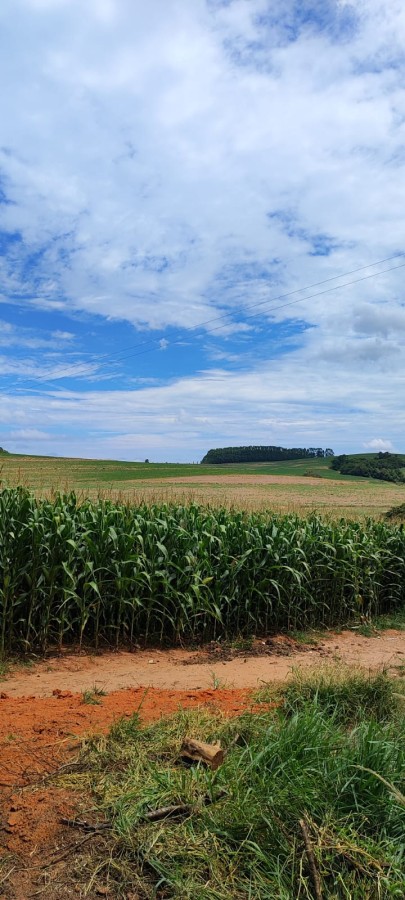 Sítio, 42 m² - Foto 6