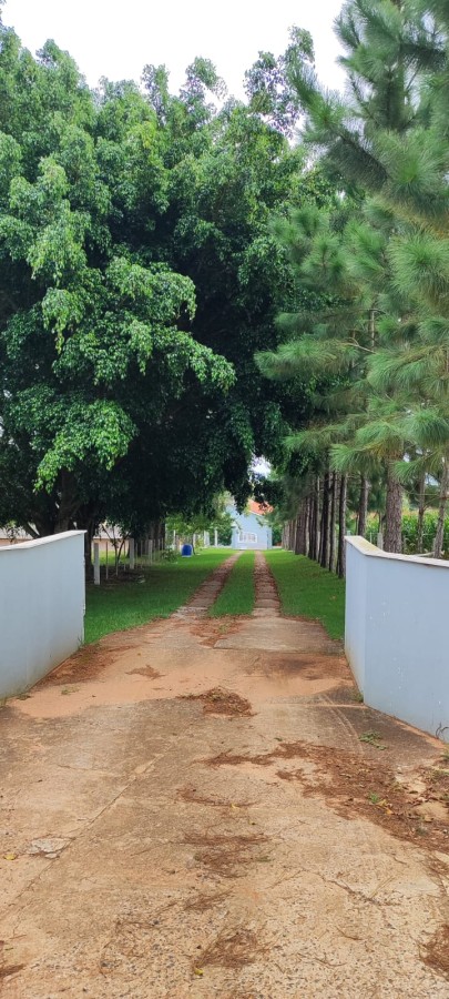 Sítio, 42 m² - Foto 23