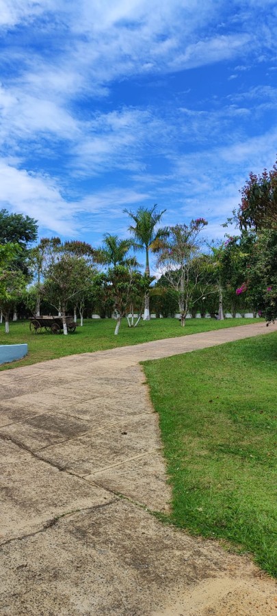 Sítio, 42 m² - Foto 18