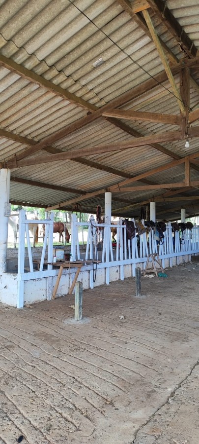 Sítio, 42 m² - Foto 12