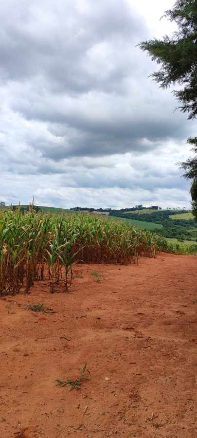 Sítio, 42 m² - Foto 19