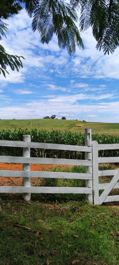 Sítio, 42 m² - Foto 3