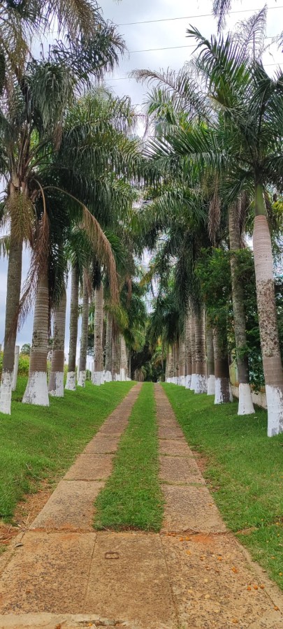 Sítio, 42 m² - Foto 2