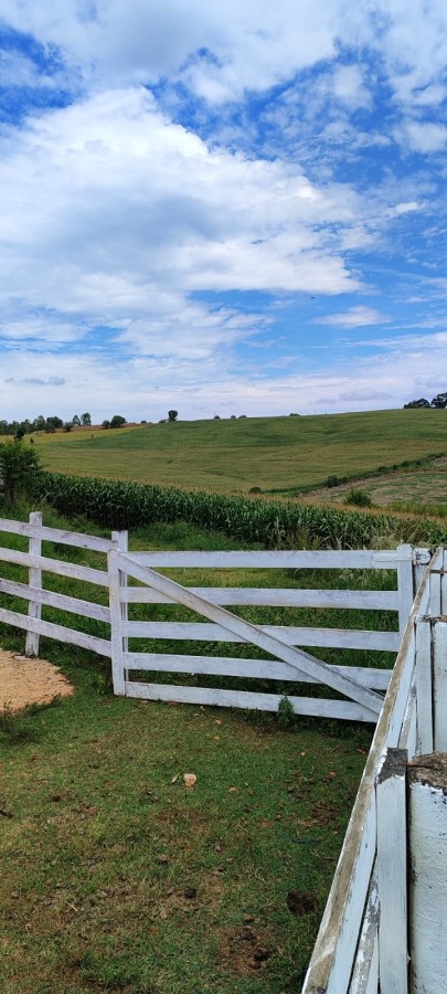 Sítio, 42 m² - Foto 5