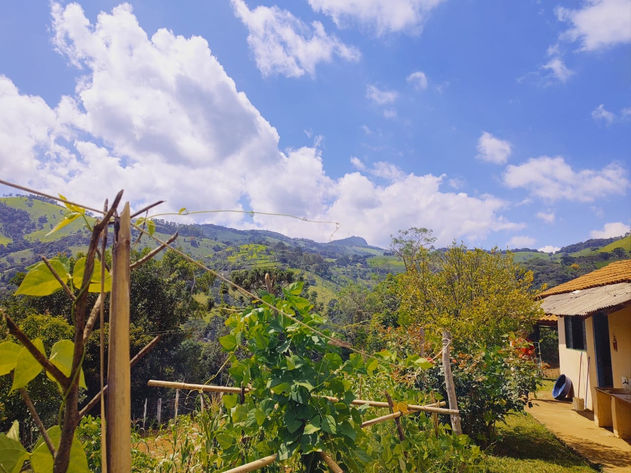 Chácara, 1800 m² - Foto 4