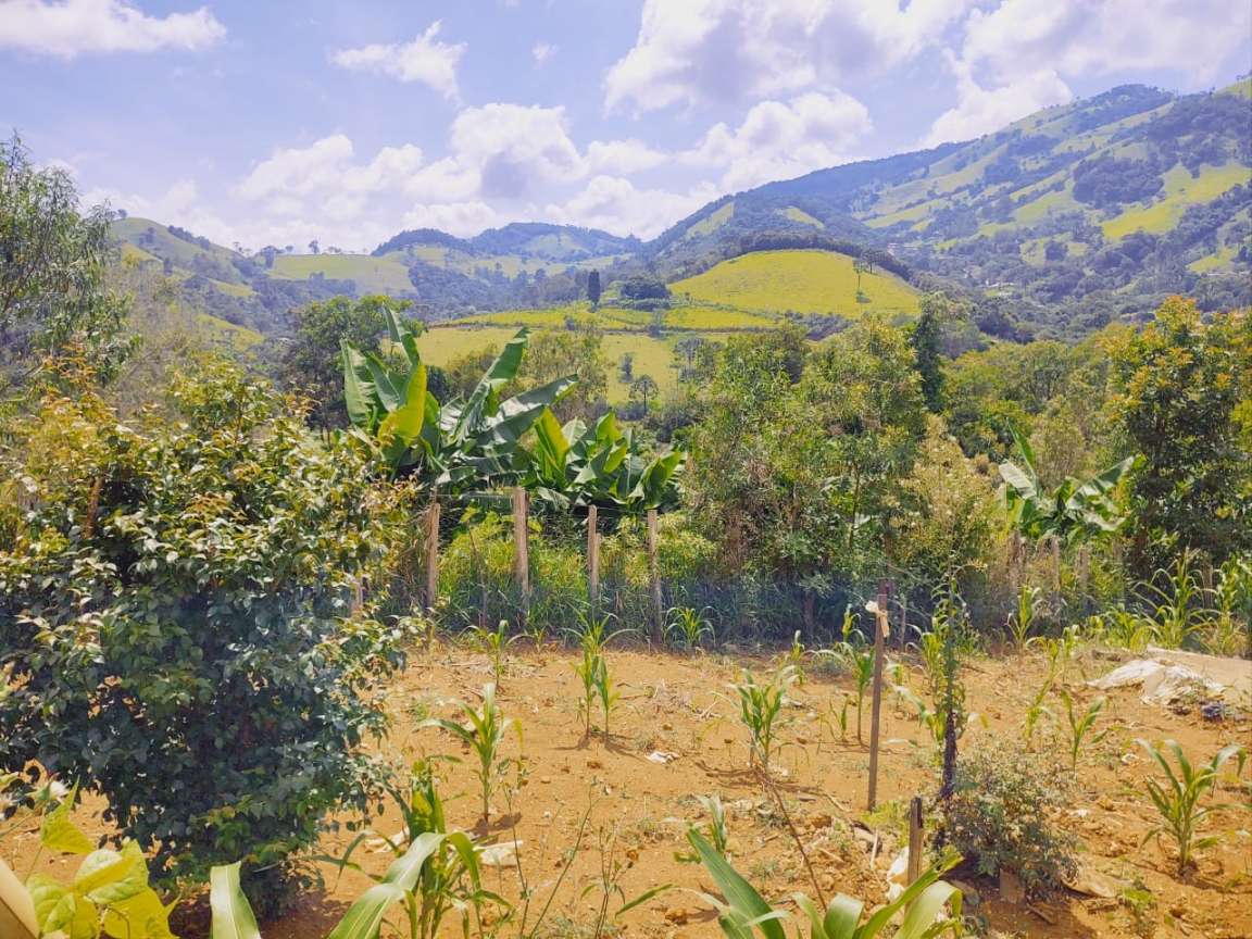 Chácara, 1800 m² - Foto 5