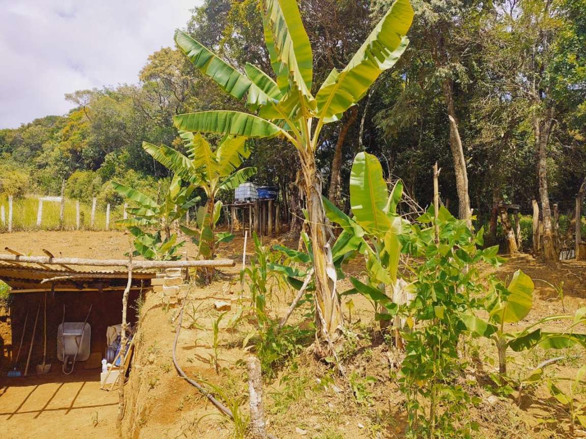 Chácara, 1800 m² - Foto 7