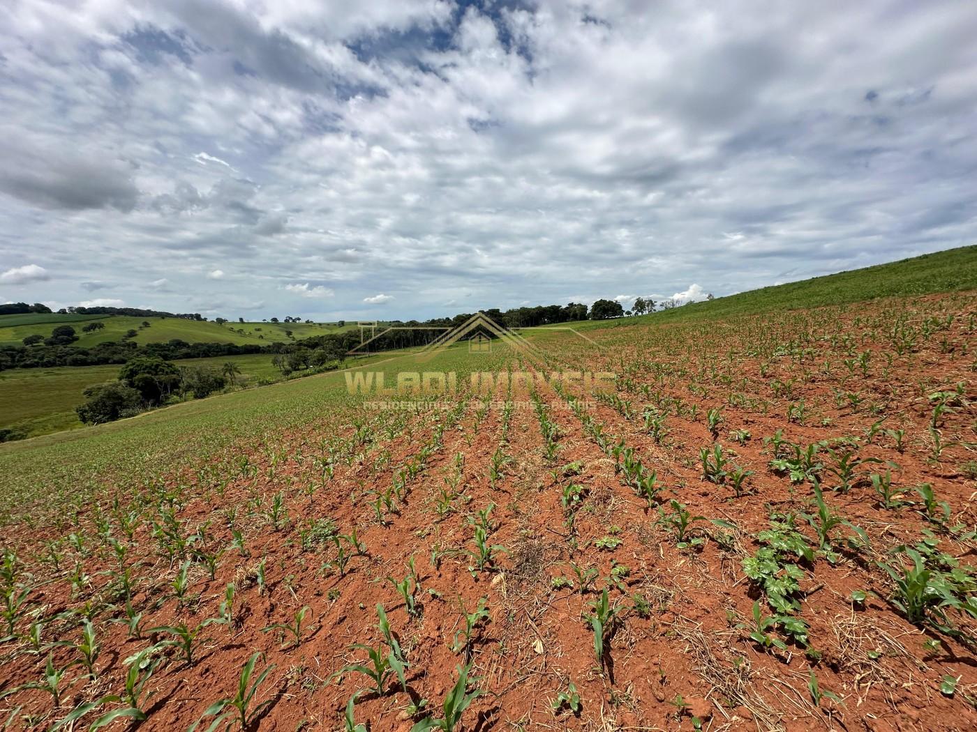 Fazenda, 14 m² - Foto 6