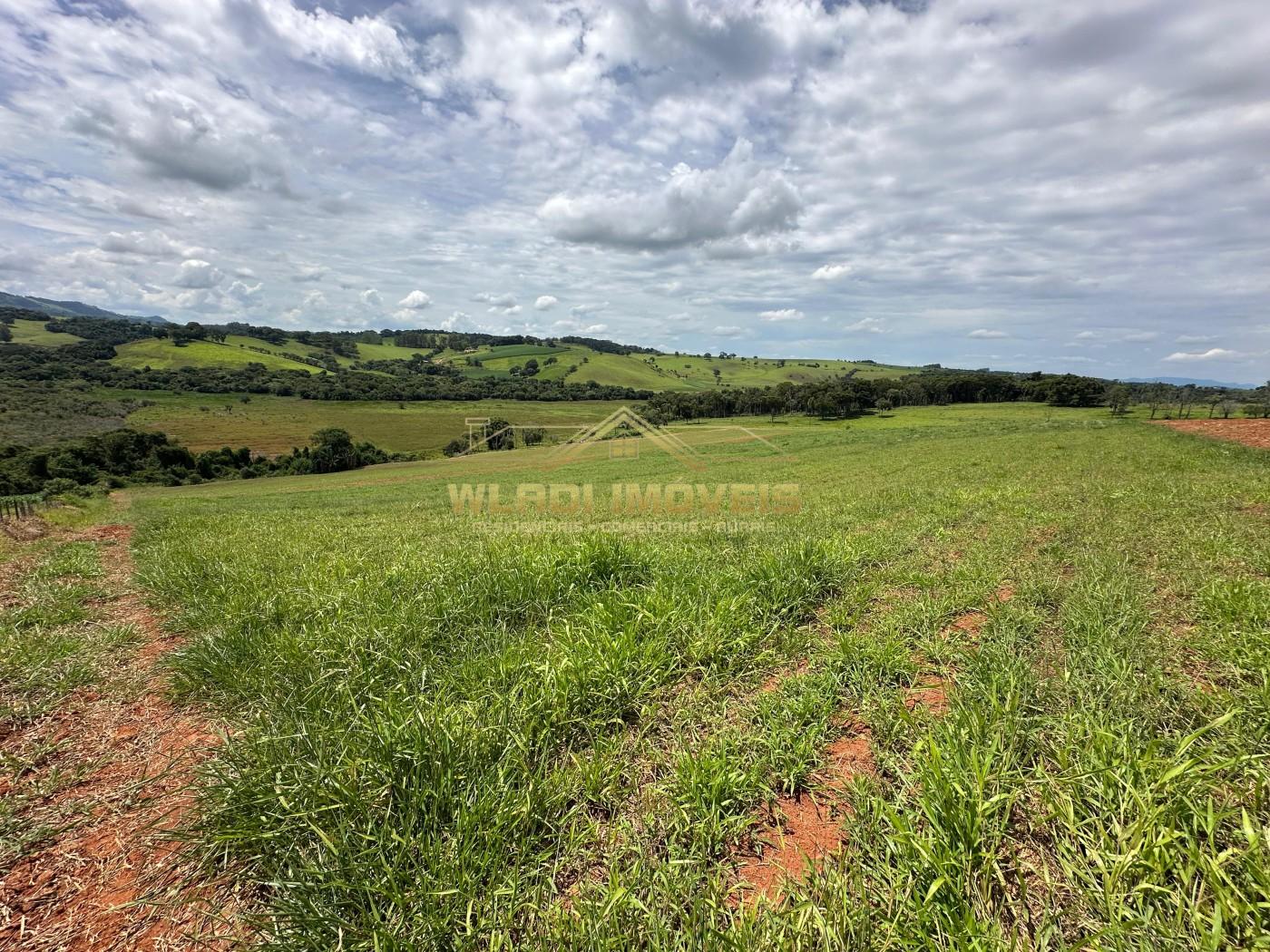 Fazenda, 14 m² - Foto 3